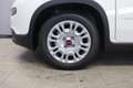 Fiat Panda Hybrid 1.0 GSE 51kW Mild-Hybrid, Sie sparen 4.5... Weiß - thumbnail 30