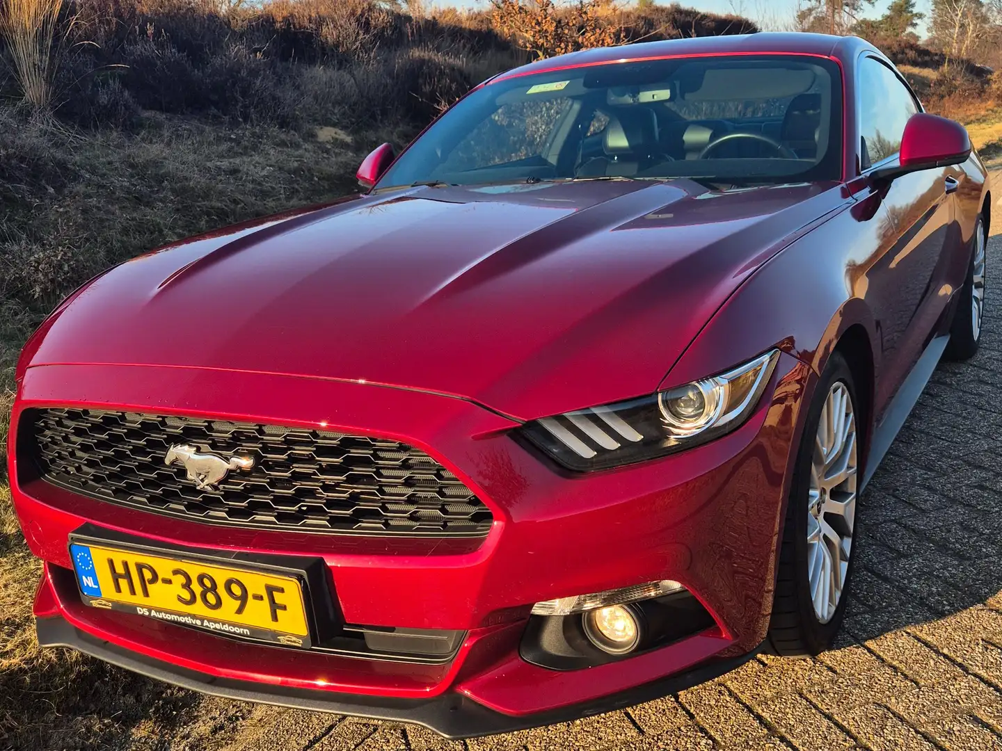 Ford Mustang Mustang+2.3+EcoBoost Rood - 1