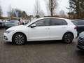 Volkswagen Golf 1,0 eTSI DSG ACTIVE ACC LED NAVI R.KAMERA Weiß - thumbnail 12