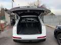 Audi Q7 Q7 60 3.0 tfsi e S line Plus quattro AUT 5p. Blanc - thumbnail 7