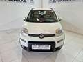 Fiat Panda 1.3 mjt 16v 4x4 s&s 95cv Bianco - thumbnail 2