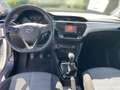 Opel Corsa F Edition 1.2 Parkpilot, Sitzheizung, Isofix Bianco - thumbnail 11