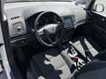 SEAT Alhambra 2.0 TDI DSG XCELLENCE 219€ m. 20% Anzahlung STHZ Weiß - thumbnail 10