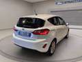 Ford Fiesta 5p 1.1 Titanium 75cv Wit - thumbnail 3