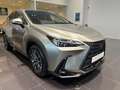 Lexus NX 450h+ Executive Line Grau - thumbnail 2