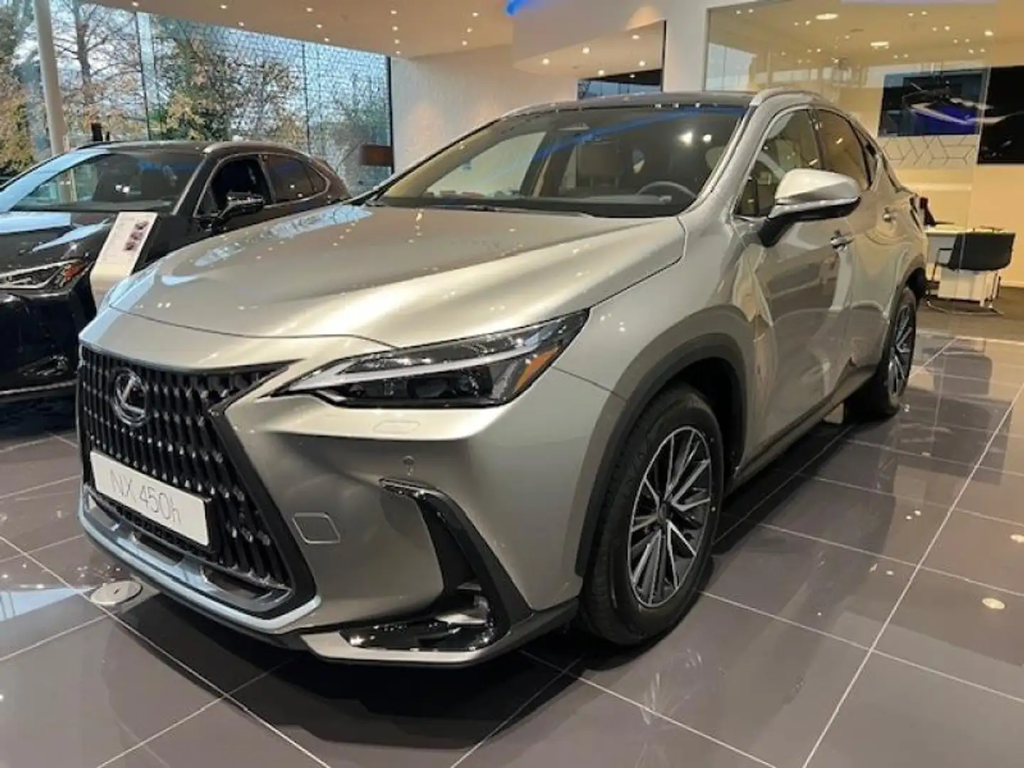 Lexus NX 450h+ Executive Line Grau - 1