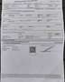 Mercedes-Benz SLK 230 Kompressor Silber - thumbnail 10