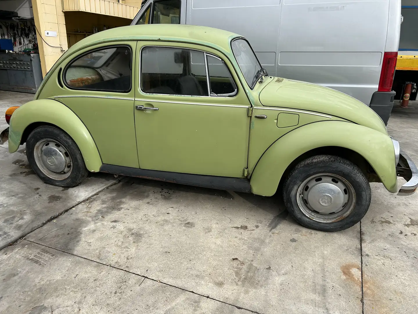 Volkswagen Maggiolino - 2