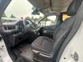 Renault Trafic Campervan 3 Navigation AHK Standheizung Lifepo4 Weiß - thumbnail 5