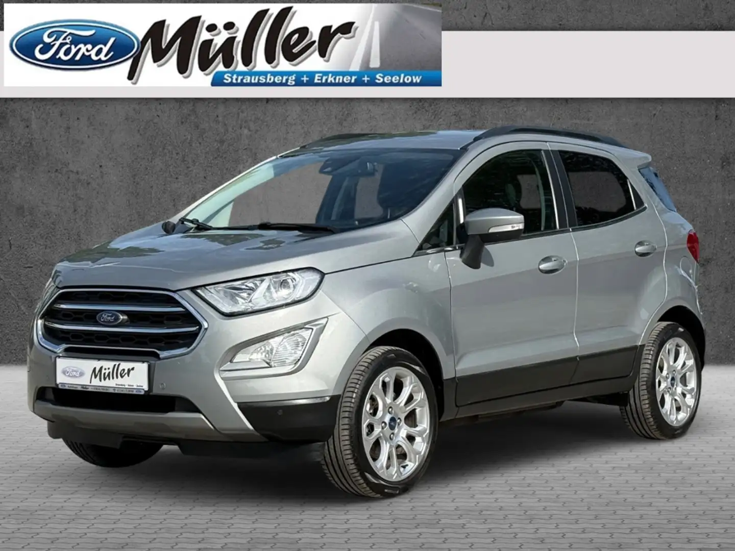 Ford EcoSport Titanium 1.0 EcoBoost Navi B&O Gris - 1