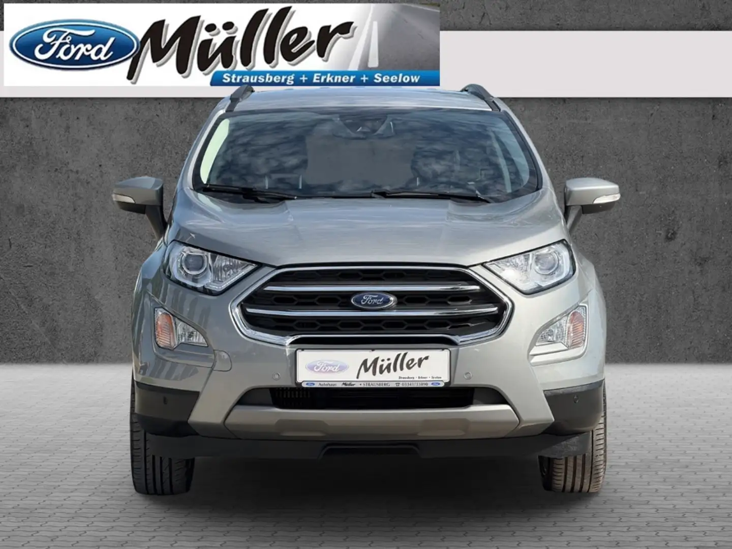 Ford EcoSport Titanium 1.0 EcoBoost Navi B&O Gris - 2