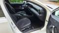 Mercedes-Benz A 250 A 250 Limousine Aut/AMG Linie/ Plug in Hybrid/ Weiß - thumbnail 22