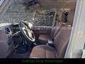 Toyota Land Cruiser GDJ 79DC 2,8-Diesel Aut. SDLX LED Beige - thumbnail 12