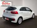 Kia Rio 1.2 MPI SILBER Weiß - thumbnail 14