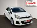 Kia Rio 1.2 MPI SILBER Weiß - thumbnail 17
