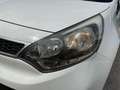 Kia Rio 1.2 MPI SILBER Weiß - thumbnail 4
