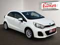 Kia Rio 1.2 MPI SILBER Weiß - thumbnail 16