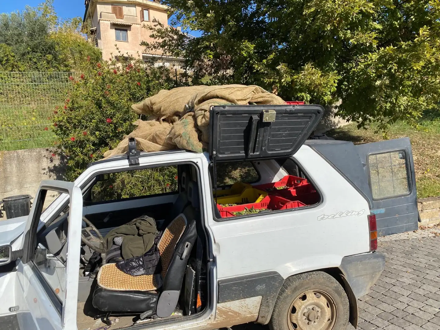 Fiat Panda 1.1 Trekking 4x4 - 1