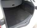 Renault Megane S.T. 1.5dCi Blue Business 85kW Blanco - thumbnail 14