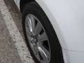 Renault Megane S.T. 1.5dCi Blue Business 85kW Blanco - thumbnail 18