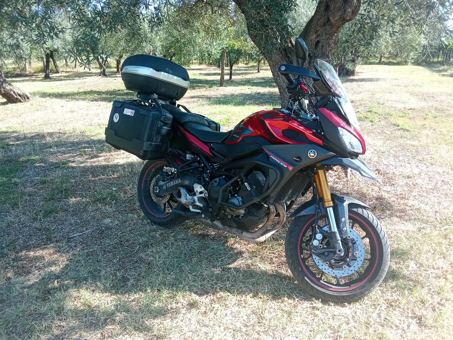 Yamaha MT-09 Rosso - 1