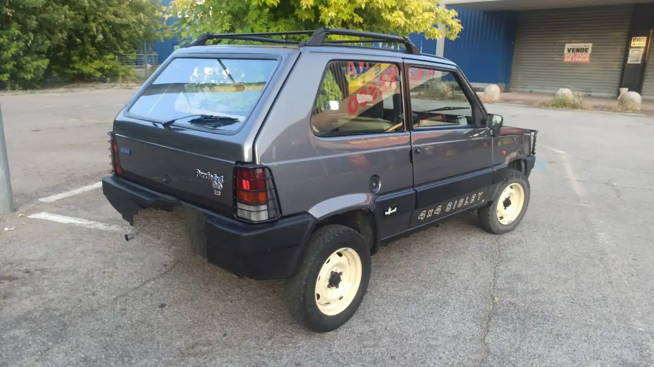 Fiat Panda 1.0 Sisley 4x4, foto 2