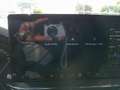 Ford Focus Traveller 1,0 EcoBoost Hybrid ST-Line Grau - thumbnail 21