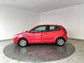 Volkswagen Polo 1.4 TDI UNITED 80BHP 80 3PT Rosso - thumbnail 2