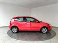 Volkswagen Polo 1.4 TDI UNITED 80BHP 80 3PT Rouge - thumbnail 12