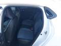 Renault Clio CLIO Techno TCe 90 Weiß - thumbnail 11
