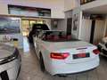 Audi A5 Cabrio 2.0 TDI 177 CV Bianco - thumbnail 12