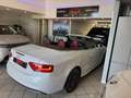 Audi A5 Cabrio 2.0 TDI 177 CV Bianco - thumbnail 13