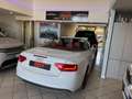 Audi A5 Cabrio 2.0 TDI 177 CV Bianco - thumbnail 14