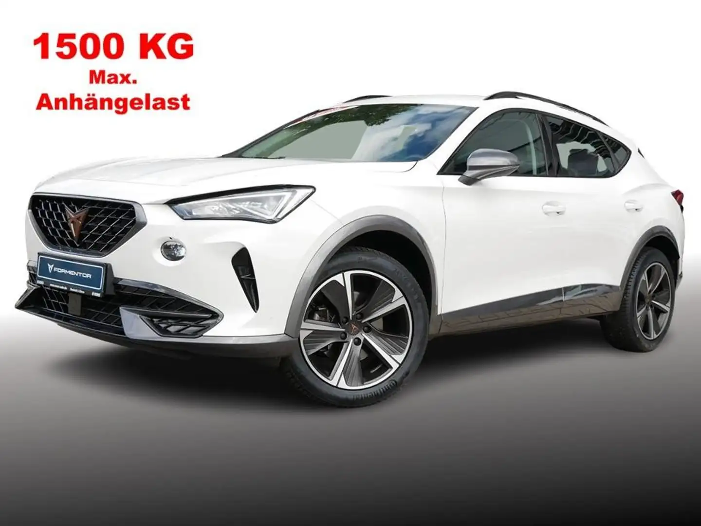 CUPRA Formentor 1.5 TSI AHK+ACC+SHZ+LED+KLIMA+NAVI Weiß - 2