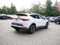 CUPRA Formentor 1.5 TSI AHK+ACC+SHZ+LED+KLIMA+NAVI Weiß - thumbnail 6