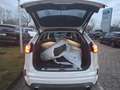 Ford Edge Vignale 4x4 Weiß - thumbnail 6