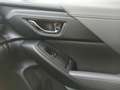 Subaru Crosstrek 2.0ie e-Boxer Platinum Allrad Navi Leder LED Dyn. Mavi - thumbnail 16