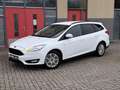 Ford Focus Wagon 1.0 Titanium, AUTOMAAT, nieuwe Distributieri Wit - thumbnail 10