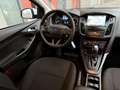 Ford Focus Wagon 1.0 Titanium, AUTOMAAT, nieuwe Distributieri Wit - thumbnail 11