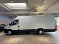 Iveco Daily 3,0 HPI 35s17 Maxi Hoch+Lang XXL Blanc - thumbnail 7