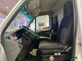 Iveco Daily 3,0 HPI 35s17 Maxi Hoch+Lang XXL Blanc - thumbnail 5