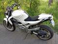 Suzuki Gladius 650 Noir - thumbnail 2