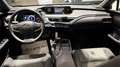 Lexus UX 250h UX 2019 250h 2.0 Executive 4wd cvt my20 Gris - thumbnail 8