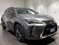 Lexus UX 250h UX 2019 250h 2.0 Executive 4wd cvt my20 Gris - thumbnail 5