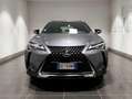 Lexus UX 250h UX 2019 250h 2.0 Executive 4wd cvt my20 Gris - thumbnail 2