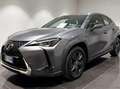 Lexus UX 250h UX 2019 250h 2.0 Executive 4wd cvt my20 Gris - thumbnail 1