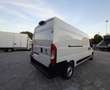 Fiat Ducato 35 2.2 MJT 140 CV L3H2 PL-TM Bianco - thumbnail 10