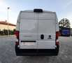 Fiat Ducato 35 2.2 MJT 140 CV L3H2 PL-TM Bianco - thumbnail 11