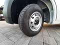 Fiat Ducato 35 2.2 MJT 140 CV L3H2 PL-TM Bianco - thumbnail 15
