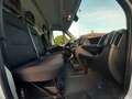 Fiat Ducato 35 2.2 MJT 140 CV L3H2 PL-TM Bianco - thumbnail 6